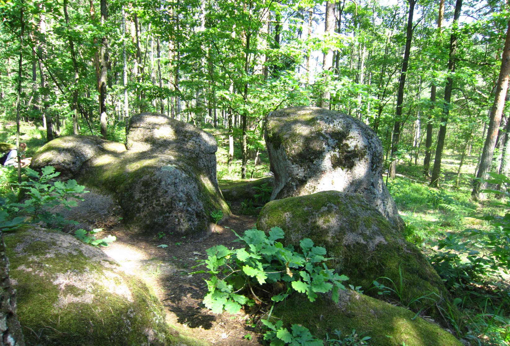 Заказник &laquo;Камінне село&raquo;,  Житомирська обл.