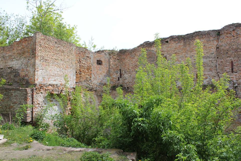 Рештки замку Чарторийських
